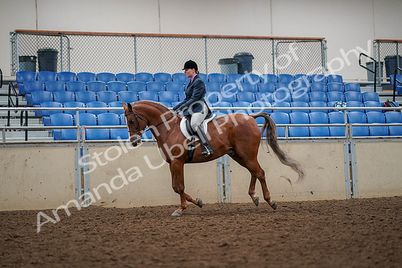 2019 Morgan Horse Show - Aug 30, 2019 - 22397