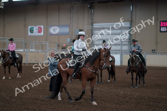 2019 Morgan Horse Show - Sept 01, 2019 - 07252