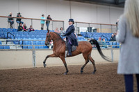 Class 095 - All Breed Eng Pl Amateur Jr Exhibitor