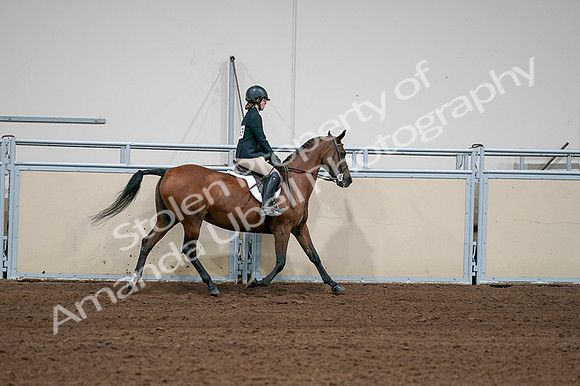 2020 - AB Morgan Horse - Fri, Sept 04 - 02146