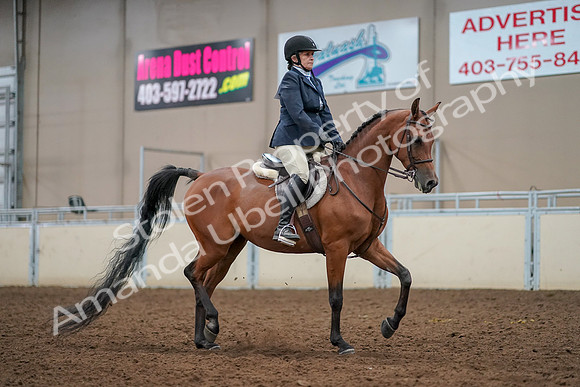 2019 Morgan Horse Show - Aug 30, 2019 - 22593
