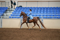 2020 - AB Morgan Horse - Sat, Sept 05 - 03327