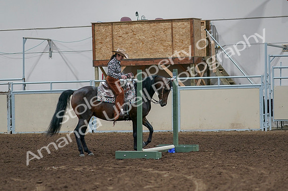 2020 - AB Morgan Horse - Fri, Sept 04 - 00347