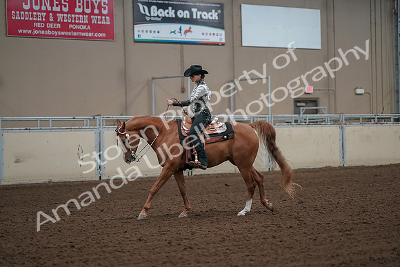 2019 Morgan Horse Show - Aug 30, 2019 - 26043