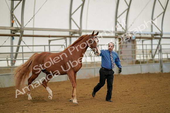 July 19, 2019 - 886