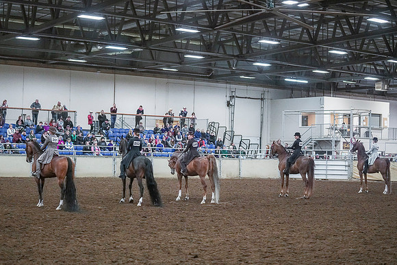 Spring Fling - Saturday - April 20, 2019  -  00589