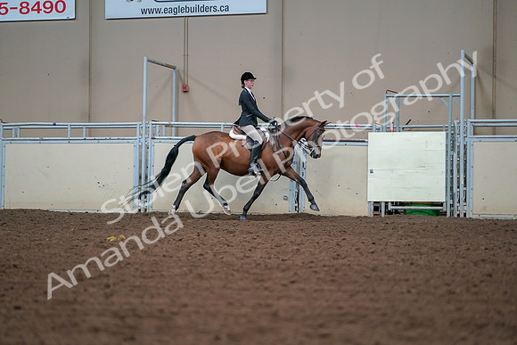 2019 Morgan Horse Show - Aug 30, 2019 - 20909