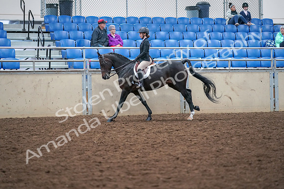 2019 Morgan Horse Show - Aug 30, 2019 - 20634