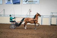 2020 - AB Morgan Horse - Sat, Sept 05 - 12453