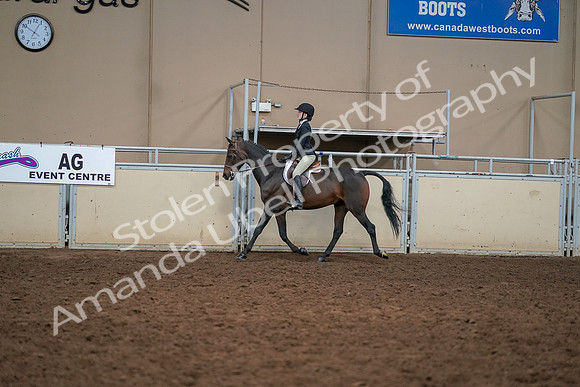 2019 Morgan Horse Show - Aug 30, 2019 - 12211