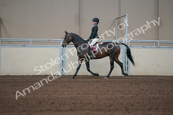 2019 Morgan Horse Show - Sept 01, 2019 - 03985
