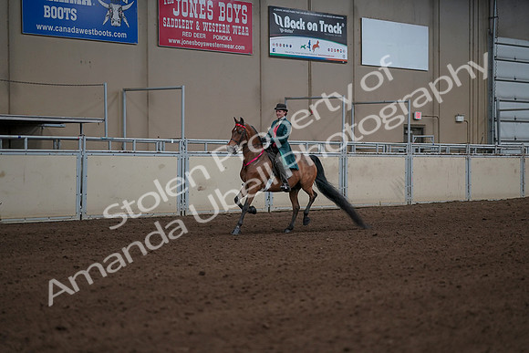 2019 Morgan Horse Show - Sept 01, 2019 - 13440