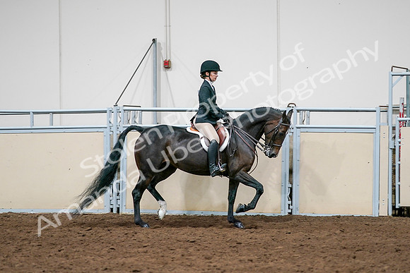 2020 - AB Morgan Horse - Sat, Sept 05 - 14589
