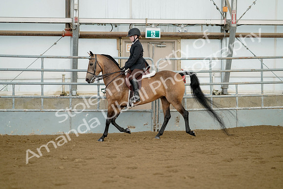 July 21, 2019 - 02166
