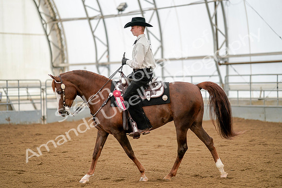 July 20, 2019 - 01178