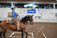 2020 - AB Morgan Horse - Fri, Sept 04 - 00015