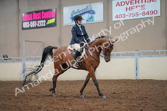 2019 Morgan Horse Show - Aug 30, 2019 - 22541