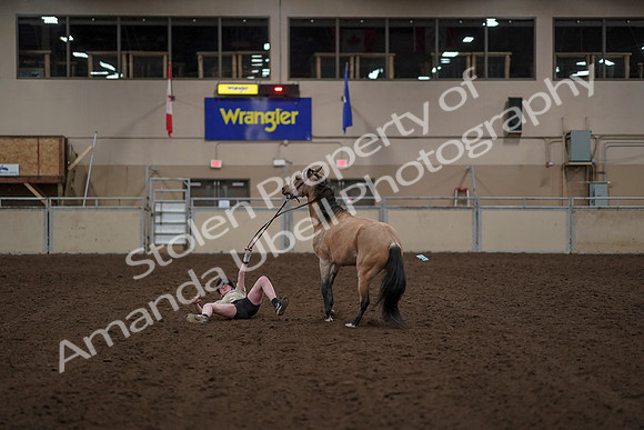 2019 Morgan Horse Show - Aug 30, 2019 - 31275