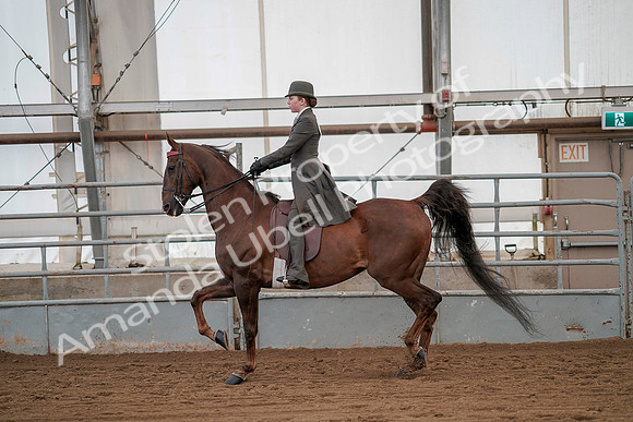 July 20, 2019 - 02033