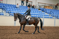2020 - AB Morgan Horse - Sat, Sept 05 - 14211