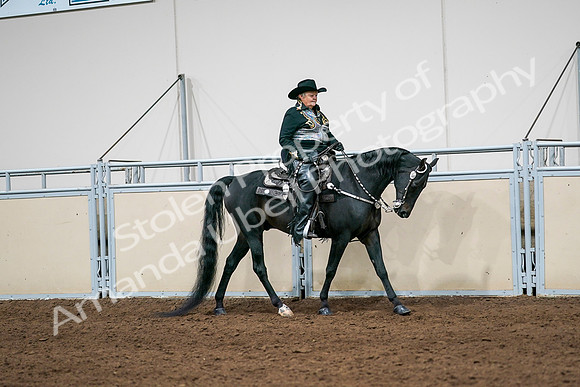 2020 - AB Morgan Horse - Sat, Sept 05 - 08941