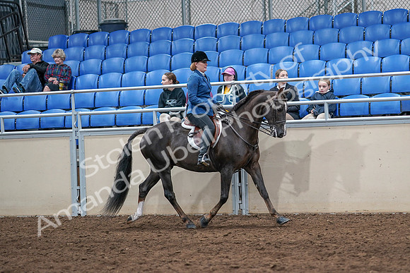 2020 - AB Morgan Horse - Sat, Sept 05 - 05094
