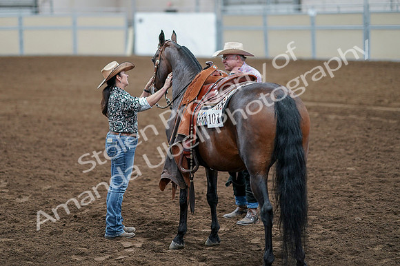 2020 - AB Morgan Horse - Fri, Sept 04 - 00657
