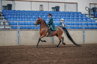 2019 Morgan Horse Show - Sept 01, 2019 - 13166