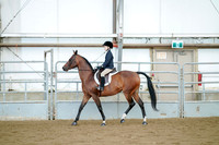 Class 102 - Walk - Trot English Pleasure - 11 & Under Championship