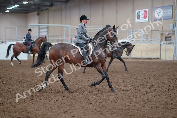 2019 Morgan Horse Show - Aug 30, 2019 - 20659