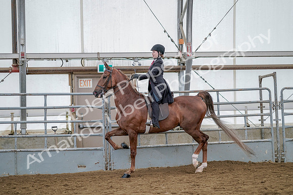July 20, 2019 - 14620
