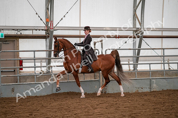 July 19, 2019 - 10342