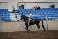 2019 Morgan Horse Show - Aug 30, 2019 - 31035