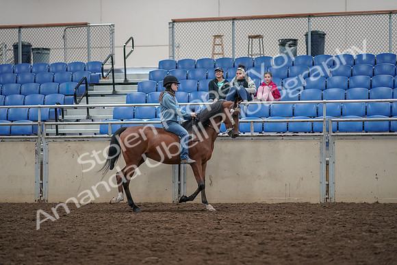 2019 Morgan Horse Show - Aug 30, 2019 - 31350