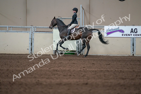 2019 Morgan Horse Show - Sept 01, 2019 - 03740