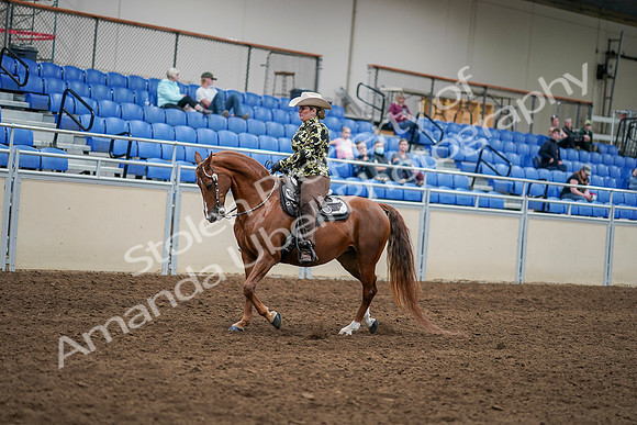 2020 - AB Morgan Horse - Sat, Sept 05 - 08890