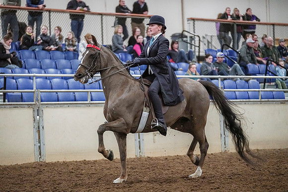 Spring Fling - Saturday - April 20, 2019  -  04125