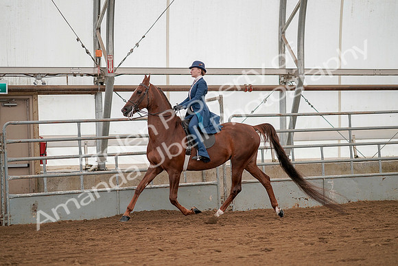 July 20, 2019 - 02118