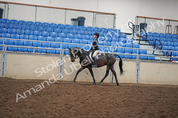 2019 Morgan Horse Show - Aug 30, 2019 - 12255