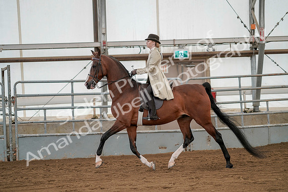 July 20, 2019 - 02078