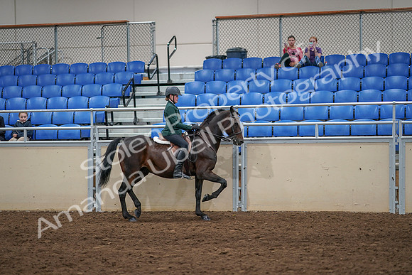 2020 - AB Morgan Horse - Sat, Sept 05 - 05054