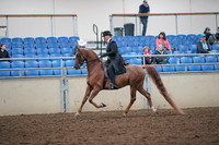 2019 Morgan Horse Show - Aug 31, 2019 - 12184