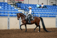 2020 - AB Morgan Horse - Sat, Sept 05 - 08881