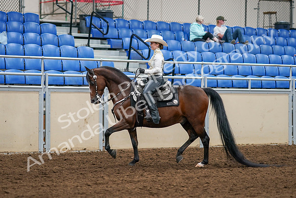 2020 - AB Morgan Horse - Sat, Sept 05 - 08881