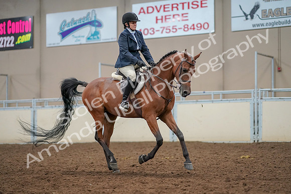 2019 Morgan Horse Show - Aug 30, 2019 - 22545