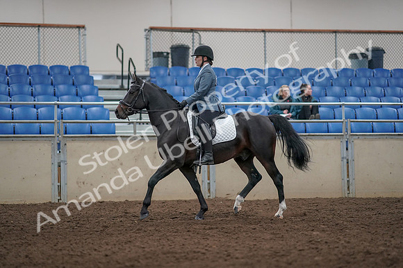 2019 Morgan Horse Show - Aug 31, 2019 - 07250