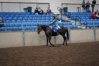 2019 Morgan Horse Show - Aug 31, 2019 - 16303
