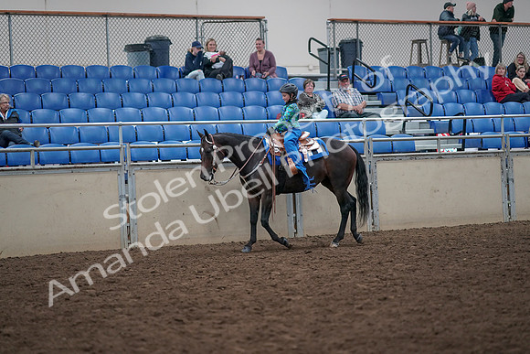 2019 Morgan Horse Show - Aug 31, 2019 - 16303