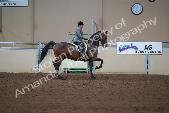 2019 Morgan Horse Show - Aug 30, 2019 - 20945