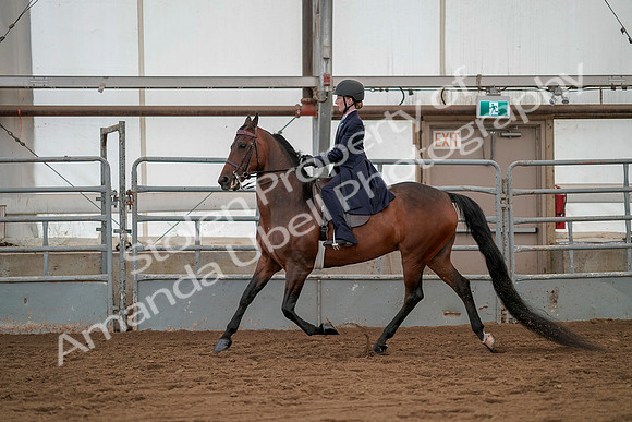 July 20, 2019 - 03769
